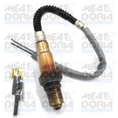 Oxygen Sensor
